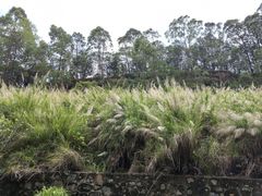 -南国桃园旅游度假区