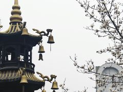 -长春观