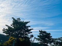 -鹤之洲湿地公园