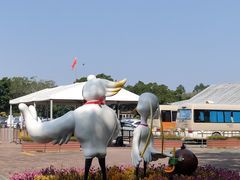 -大湾区中央湿地公园