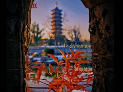 -葛仙湖公园