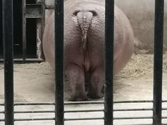 -石家庄市动物园