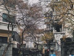 -老街无刺鲫鱼