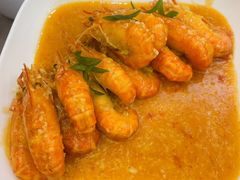 -丁老爷子苏香圆