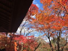 -常寂光寺