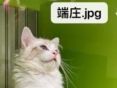 -唐小姐の私宠·宠物洗护美容·撸猫馆·购宠(周浦万达旗舰店)