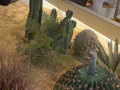 -COOKINGNANA蛋包饭(国贸银泰店)