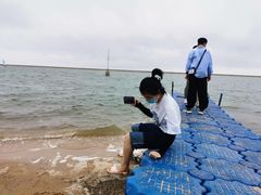 -碧海金沙