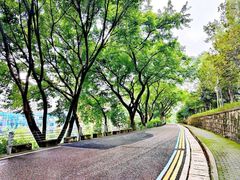 -重庆平顶山公园
