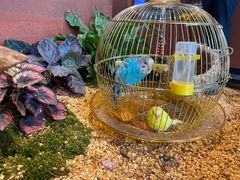 -老湘亲·品鉴湘菜(湖里店)