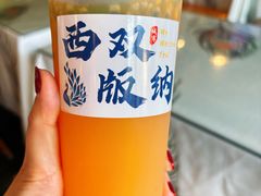 -西双版纳原始森林公园