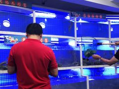 水产区-黄记大闸蟹专卖店·活蟹·醉蟹