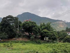 -百里鲜(羚羊峡古栈道森林公园店)