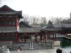 -紫竹院公园冰场