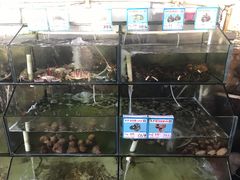 水产区-龙湾海鲜渔村餐厅(亚龙湾店)