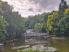 -深圳国际园林花卉博览园