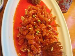 -鸽舞笙平金牌烧鸽子·融合菜(鲁谷店)