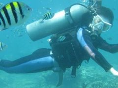 -亚龙湾海底世界