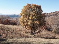 -塞罕坝国家级自然保护区