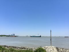 -上海滨江森林公园