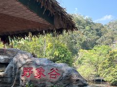 -野象谷景区