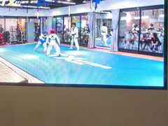 -天行健身＆天行拳馆跆拳道·格斗TXGYM