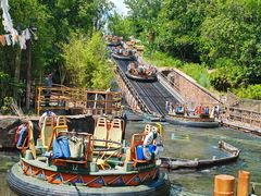 -奥兰多迪士尼动物王国乐园