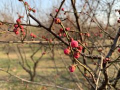 景点-蜀冈西峰生态公园