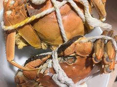 -东北灶(高新银泰店)