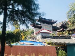 -鸡鸣赐茶(鸡鸣寺路店)