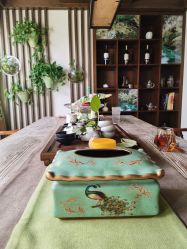 -青青一生美皮肤管理