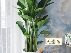 -李村大集