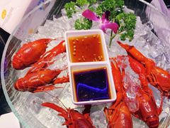 -96农蝎虾(江桥老街店)