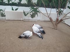 -长春农博园
