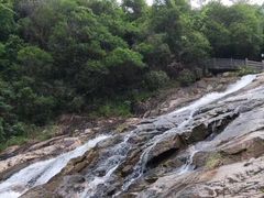 -广州白江湖森林公园