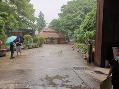 -天怡·鱼工厂(梅溪湖店)