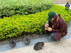 -万达广场(南宁青秀店)