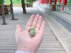 -兰山公园
