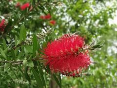 -桤木河湿地公园