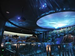 -陕西自然博物馆