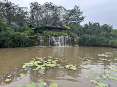 -中国科学院西双版纳热带植物园