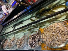-海吃海喝海鲜烤肉炭火主题自助餐(朝阳店)