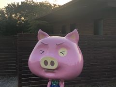 -田园东方蜜桃村的田野营地