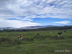 -塞罕坝国家级自然保护区