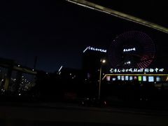 -摩天活力城·摩天轮