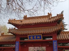 -桃花堤公园