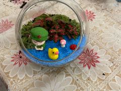 -婴智贝佳蒙特梭利早教托育中心(杨浦店)