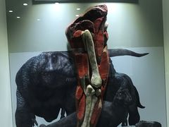 -世界恐龙谷景区