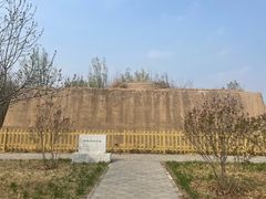 -野鸭湖国家湿地公园