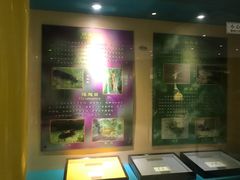 -上海昆虫博物馆